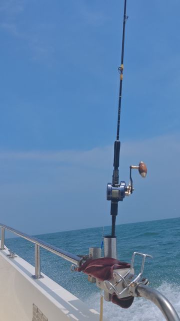IMG_20260709_133207.jpg