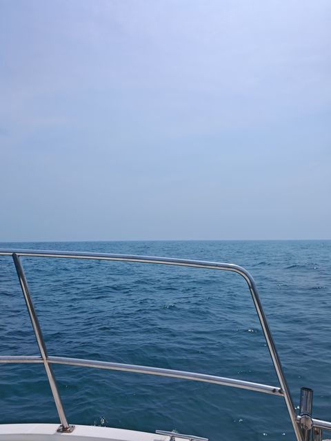 IMG_20260709_140235.jpg