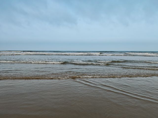 IMG_20260710_180119.jpg
