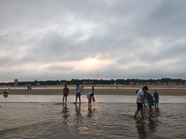 IMG_20260710_181015.jpg