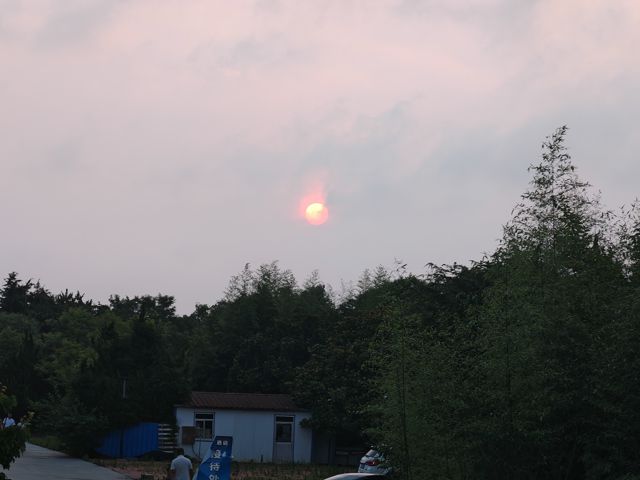 IMG_20260710_185121.jpg